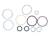 10730681 Seal Kit (Lull #P30681) | JLG